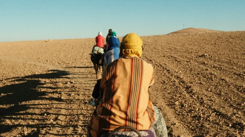 cemel ride in agafay