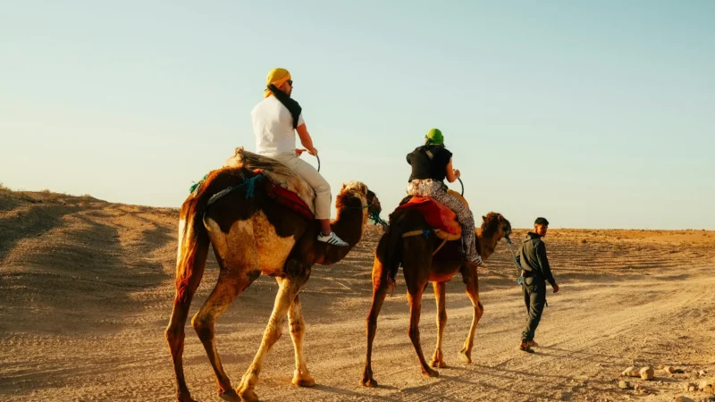 marrakech camel ride