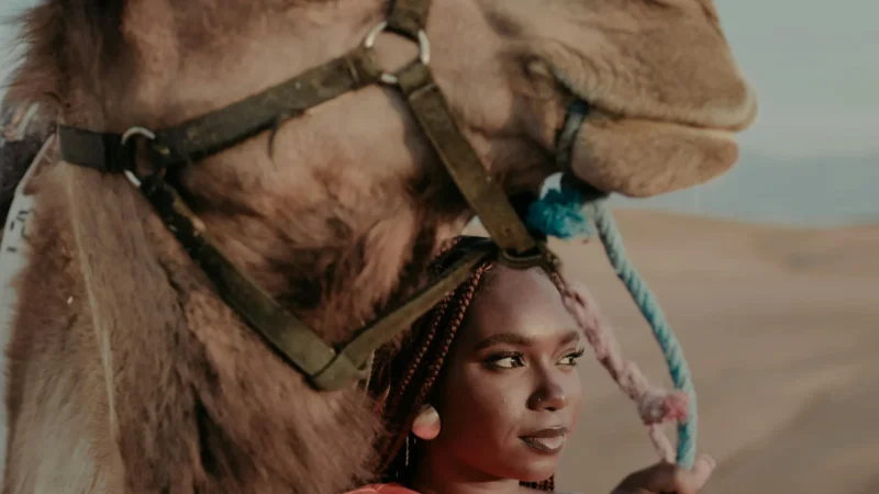 marrakech camel ride