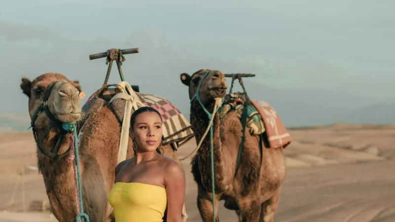 marrakech camel ride