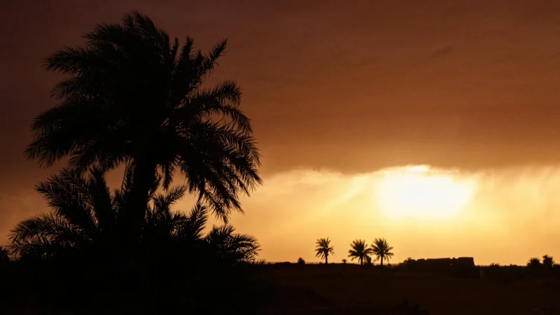 marrakech camel ride