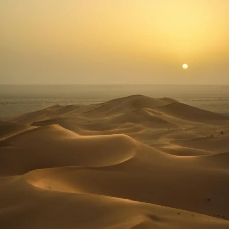 desert sahara