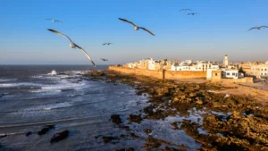Seaside Serenity: Exploring Essaouira on a Day Trip from Marrakech