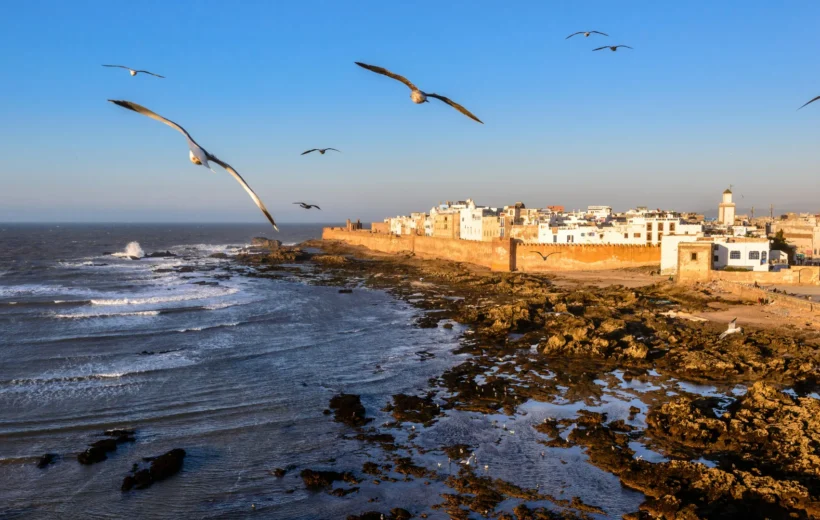 Seaside Serenity: Exploring Essaouira on a Day Trip from Marrakech