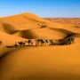 sergey-pesterev-_VqyrvQi6do-unsplash merzouga